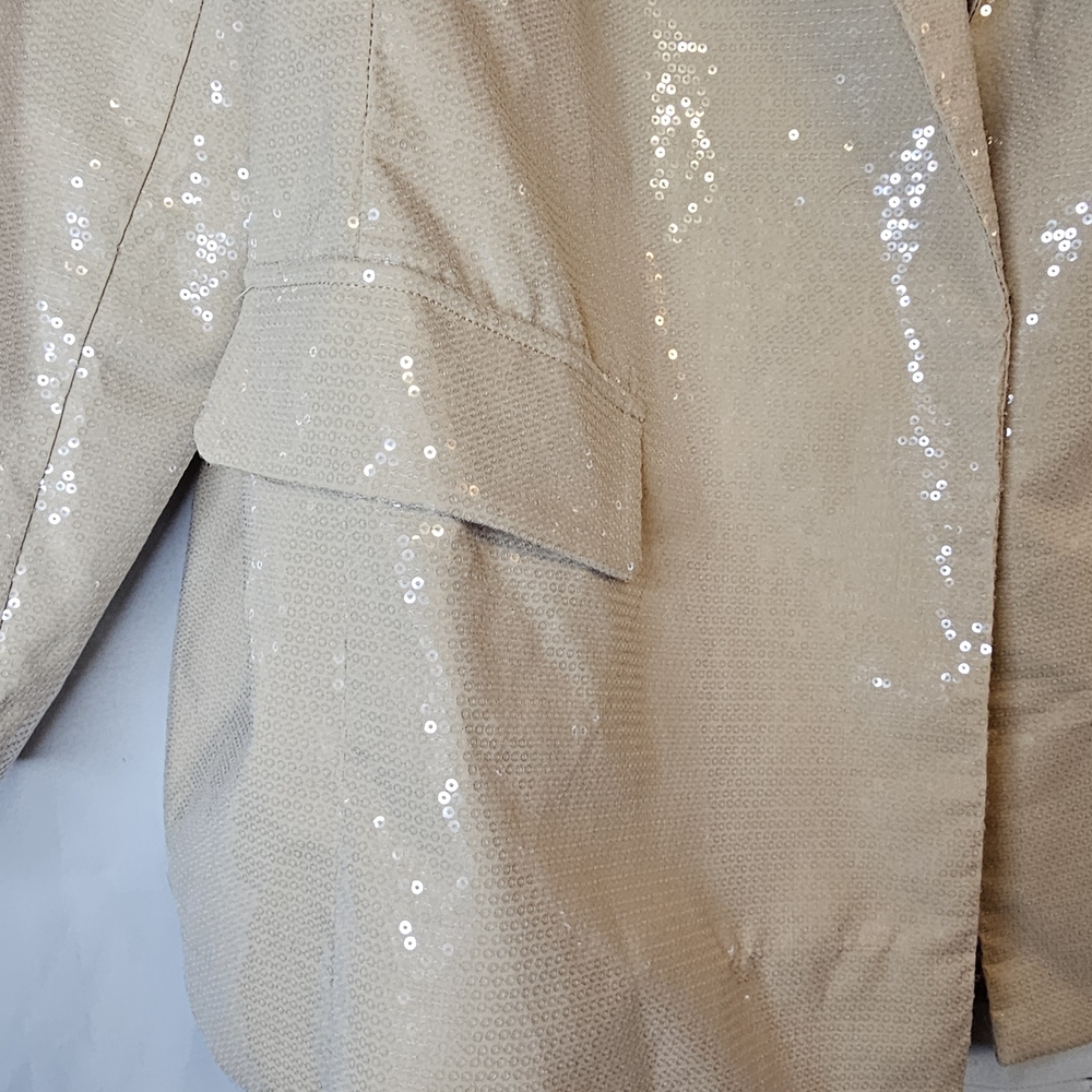A New Day Sequin Beige Blazer - Picture 4 of 7